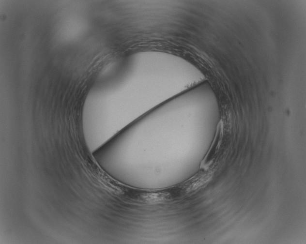 X0000067890558200605041555