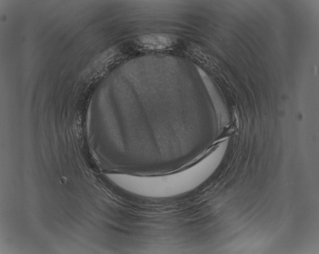 X0000067890559200605041555