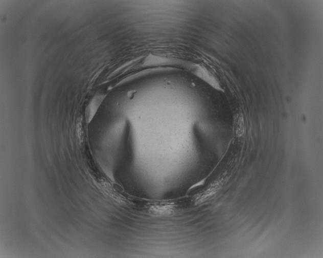 X0000067890560200605041555