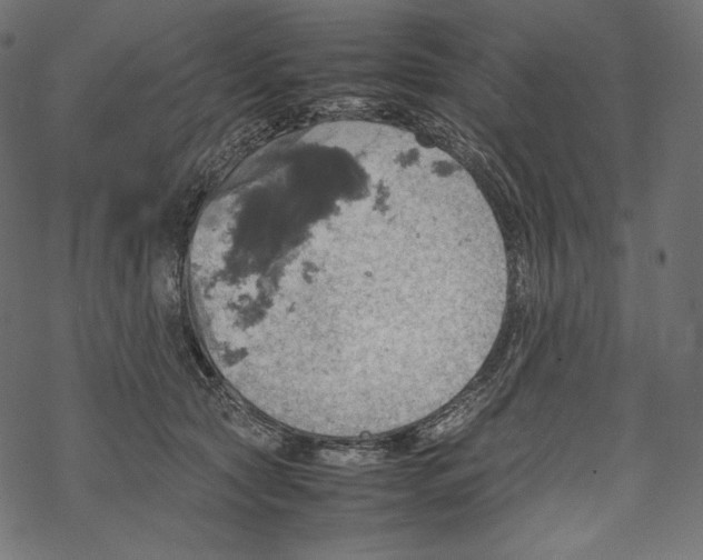 X0000067890561200605041555