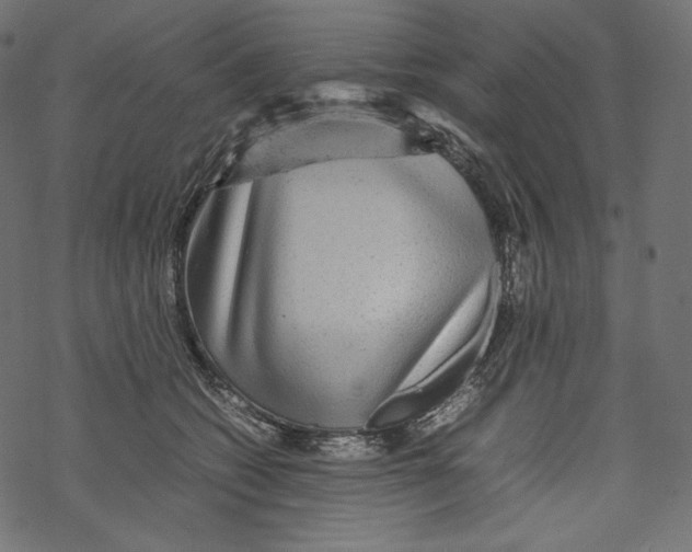 X0000067890562200605041555