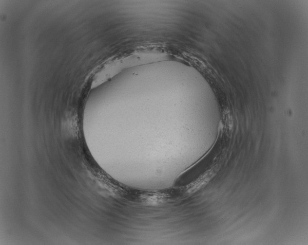 X0000067890564200605041555