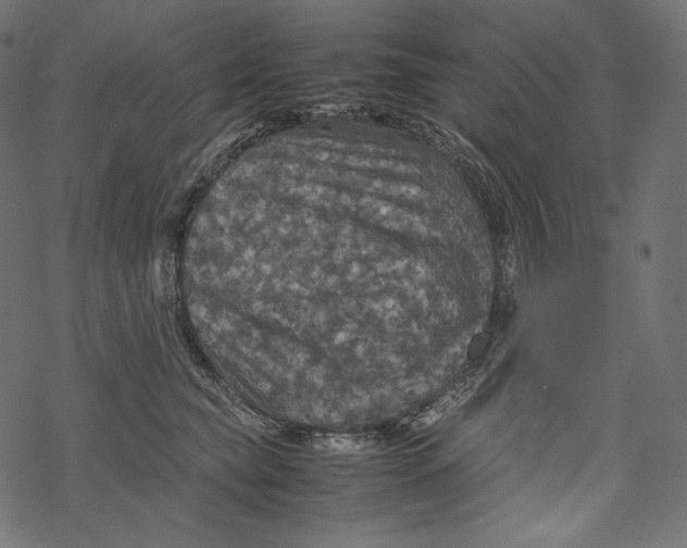 X0000067890565200605041555