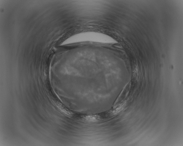 X0000067890566200605041555