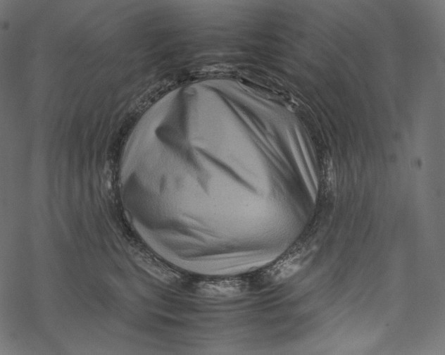 X0000067890567200605041555