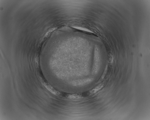 X0000067890568200605041555