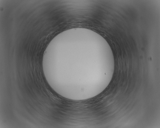 X0000067890570200605041555