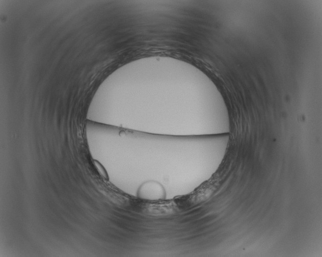 X0000067890571200605041555