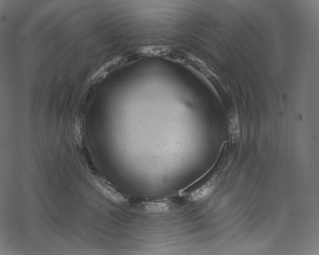 X0000067890572200605041555