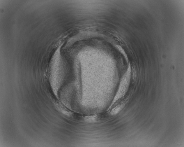 X0000067890574200605041555