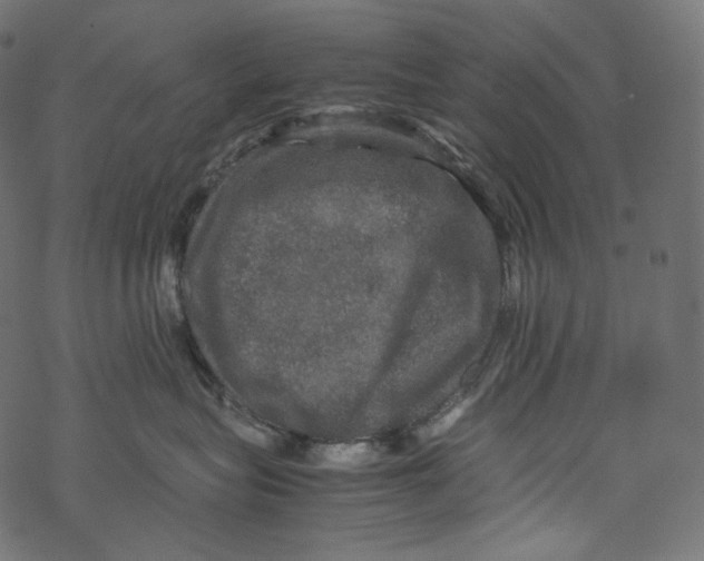 X0000067890575200605041555