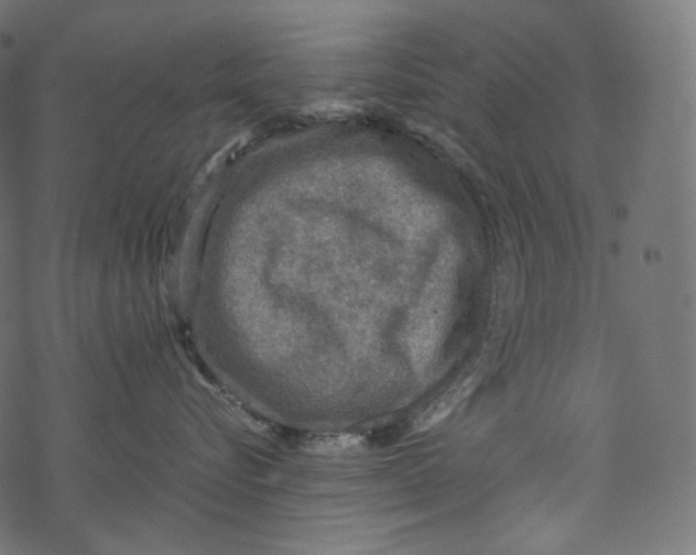 X0000067890576200605041555