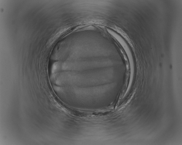 X0000067890577200605041555