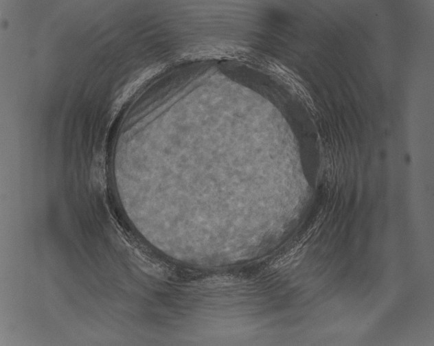 X0000067890578200605041555