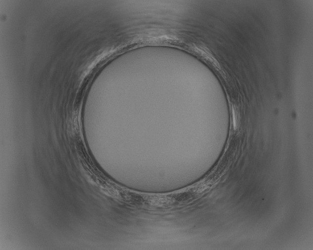 X0000067890579200605041555