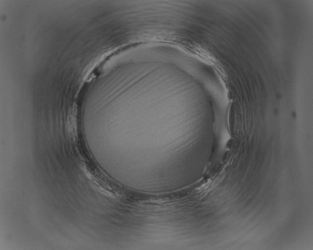 X0000067890580200605041554