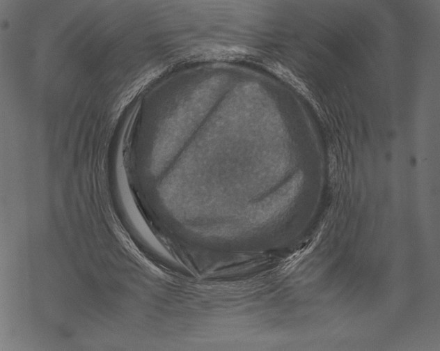 X0000067890581200605041554