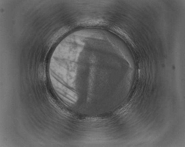 X0000067890582200605041554