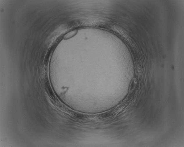 X0000067890583200605041554