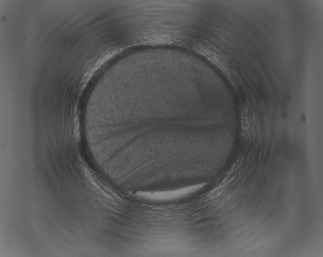 X0000067890584200605041554