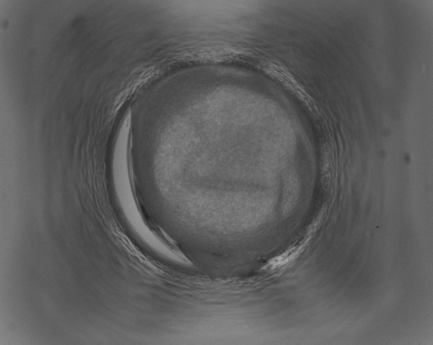 X0000067890585200605041554