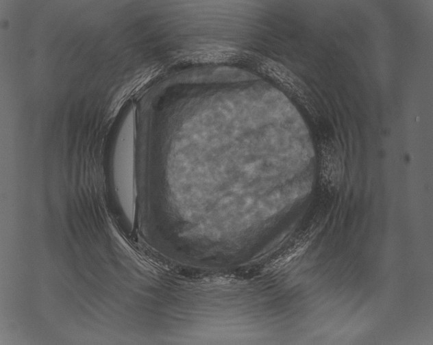 X0000067890586200605041554