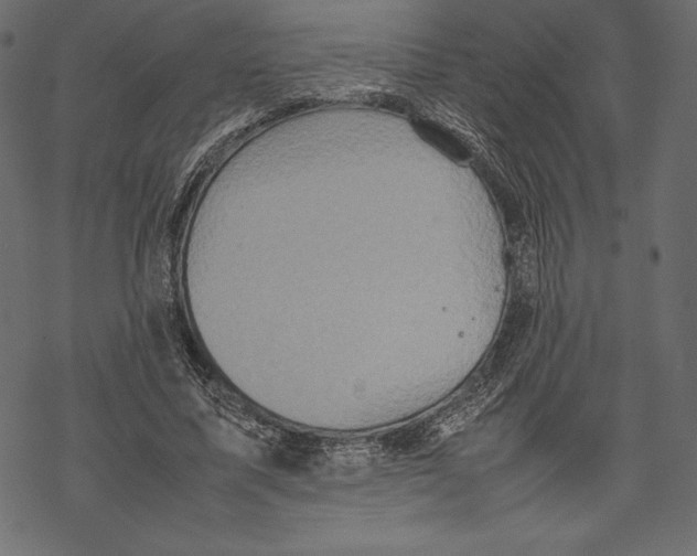 X0000067890587200605041554