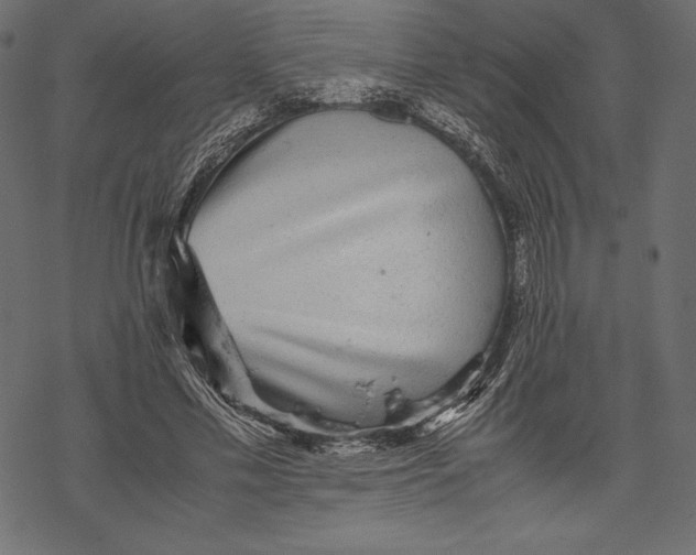 X0000067890589200605041554