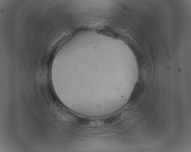 X0000067890591200605041554