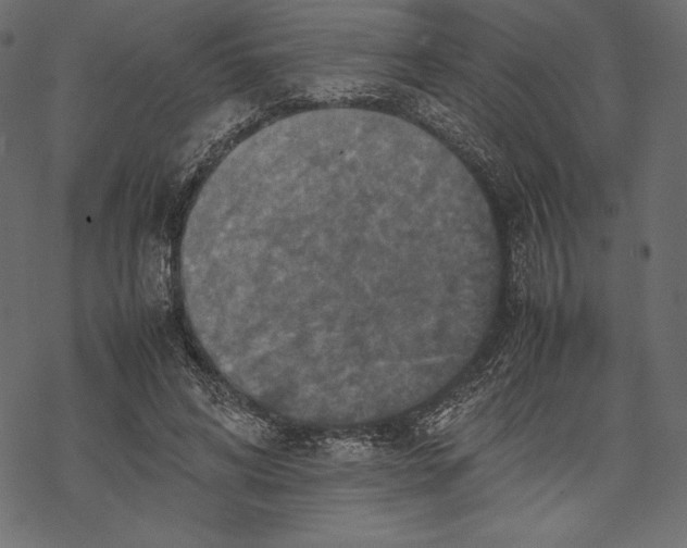 X0000067890592200605041554