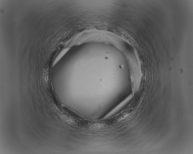 X0000067890593200605041554