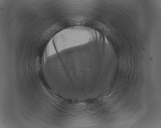 X0000067890594200605041554