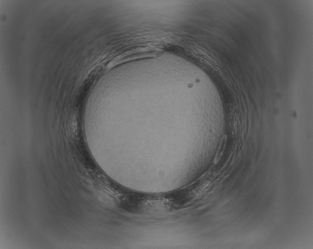 X0000067890595200605041554