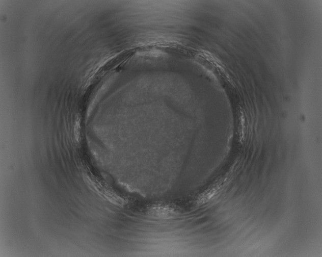 X0000067890596200605041554