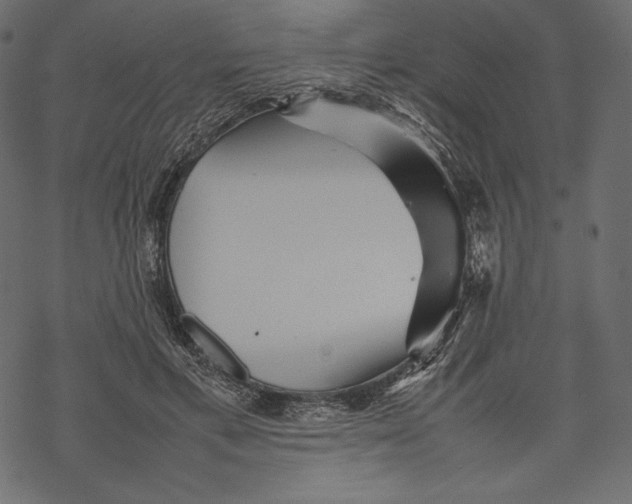 X0000067890597200605041554