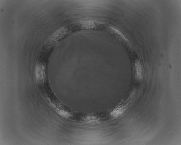 X0000067890598200605041554