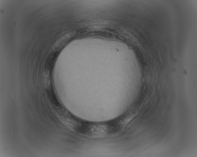 X0000067890599200605041554