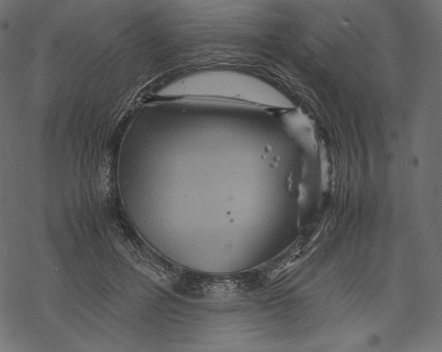 X0000067890600200605041554