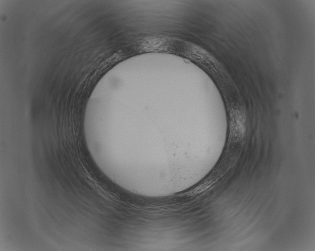 X0000067890602200605041554