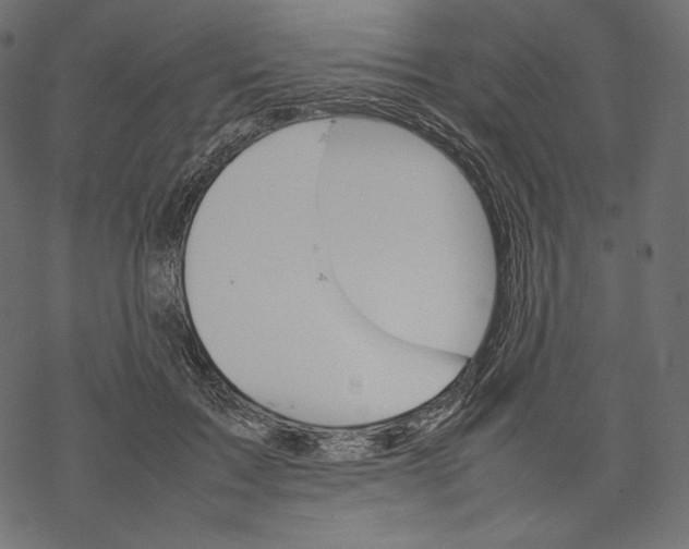 X0000067890603200605041554