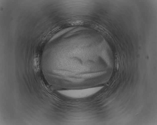 X0000067890604200605041554