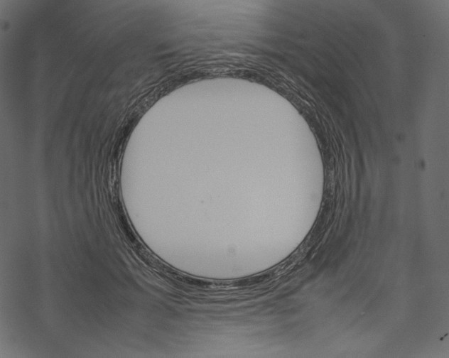 X0000067890605200605041554