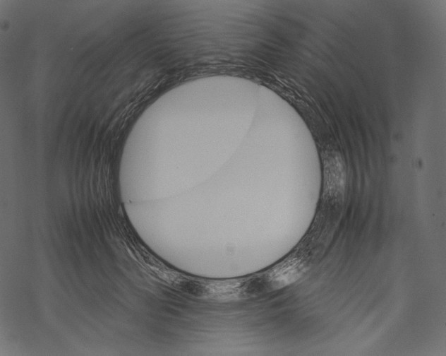 X0000067890606200605041554