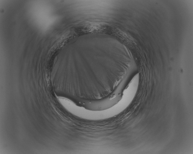 X0000067890607200605041554