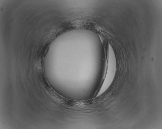 X0000067890611200605041554