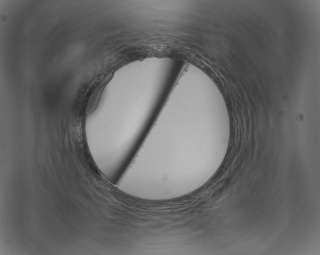 X0000067890613200605041554