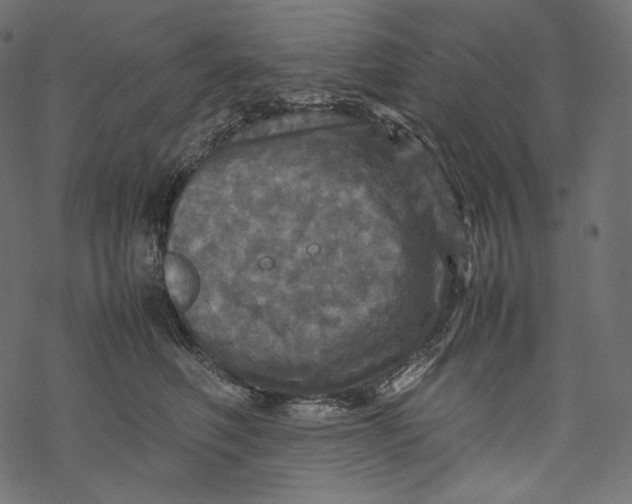 X0000067890614200605041554