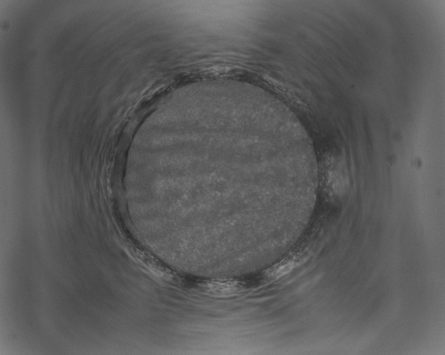 X0000067890615200605041554