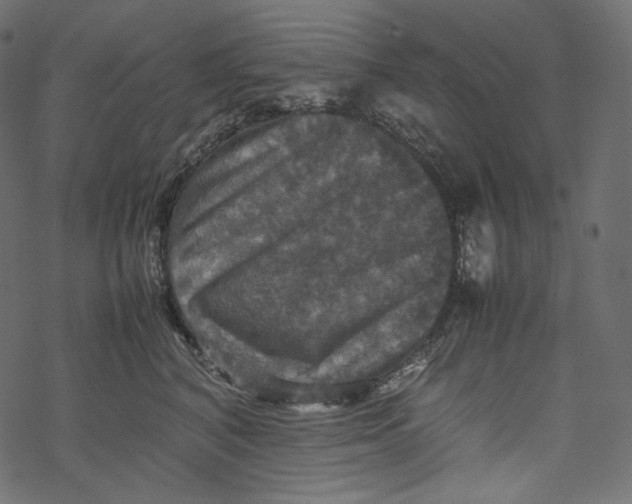 X0000067890616200605041554