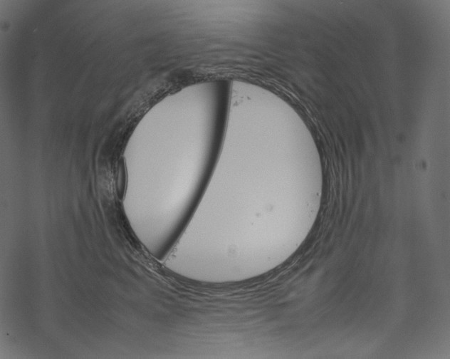 X0000067890617200605041554